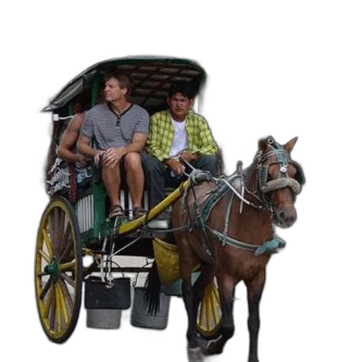car, man, plaid, shirt transparent PNG cut-out