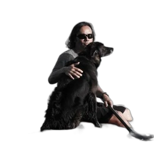 animal, creature, person, their, dog, enjoy, paddleboarding, adventure transparent PNG cut-out
