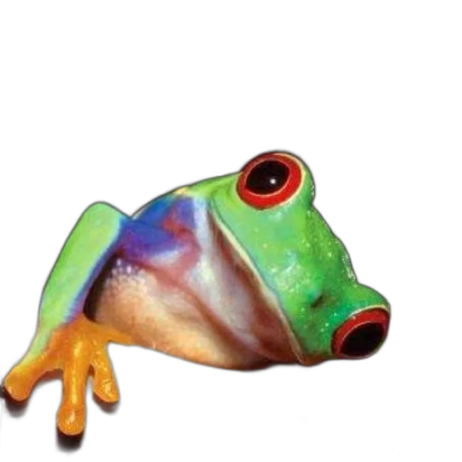 animal, creature, jewelry, staff, photorealistic, 3d render, watercolor, concept art transparent PNG cut-out