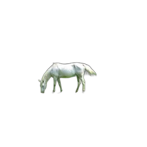 animal, creature, dragon, weapon, 3d render, concept art, pixel art, photorealistic transparent PNG cut-out