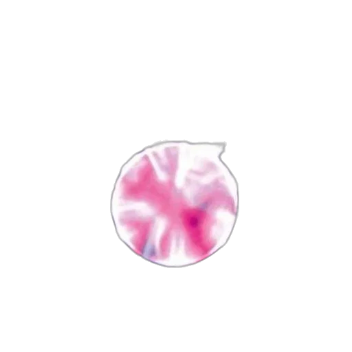 flower, hair, crown, umbrella, vaporwave, concept art, 3d render, photorealistic transparent PNG cut-out