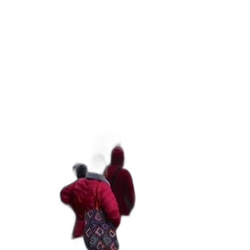 dress, dragon, jacket, creature, 3d render, concept art, pixel art, photorealistic transparent PNG cut-out