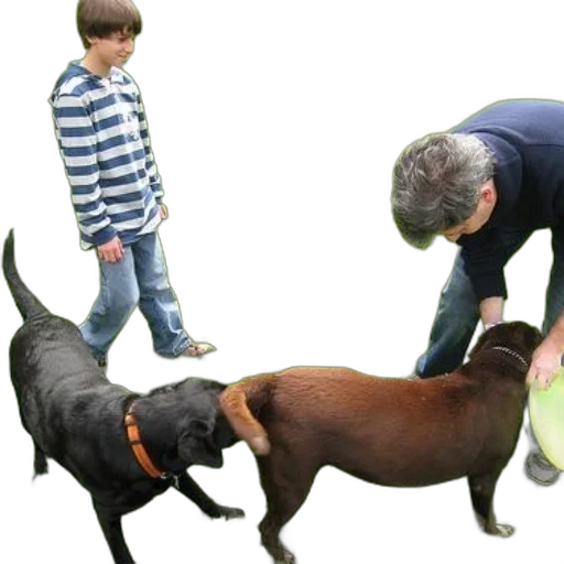 animal, creature, staff, photorealistic, 3d render, man, boy, play transparent PNG cut-out
