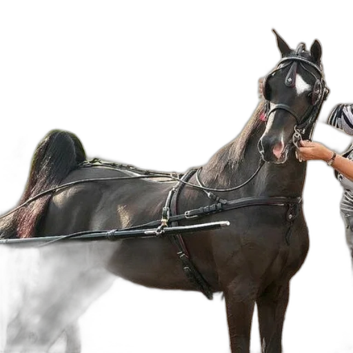 sword, weapon, animal, staff, concept art, photorealistic, 3d render, fantasy art transparent PNG cut-out