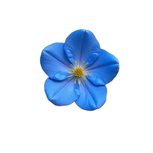 flower, crown, jewelry, staff, 3d render, photorealistic, oil painting, concept art transparent PNG cut-out