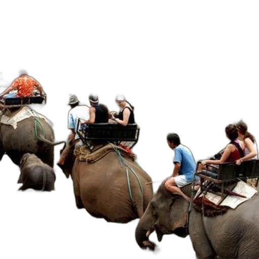 concept art, photorealistic, people, riding, elephants, through, river, one transparent PNG cut-out