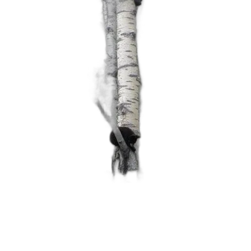 staff, tree, dress, sword, concept art, fantasy art, pencil sketch, photorealistic transparent PNG cut-out