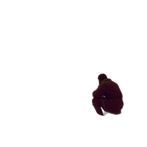 animal, creature, hair, face, 3d render, pixel art, concept art, photorealistic transparent PNG cut-out