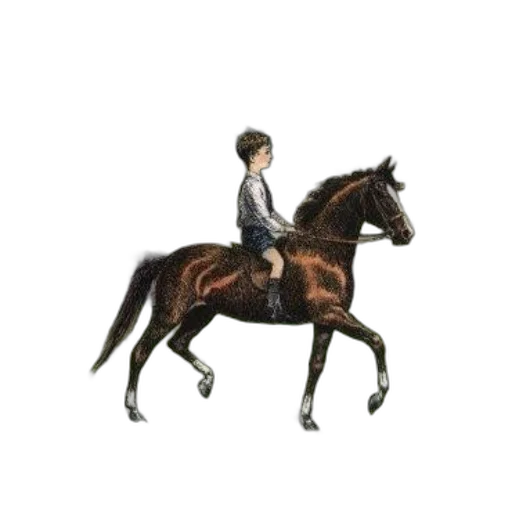 animal, staff, jacket, hair, oil painting, photorealistic, concept art, 3d render transparent PNG cut-out
