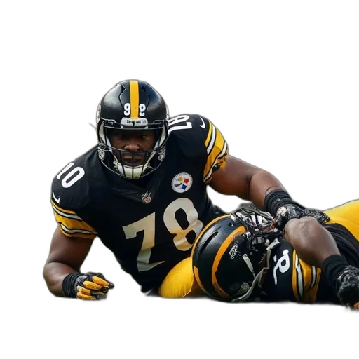 animal, creature, pittsburgh, steelers transparent PNG cut-out