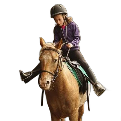 hat, animal, photorealistic, young, girl, purple, hoodie, rides transparent PNG cut-out