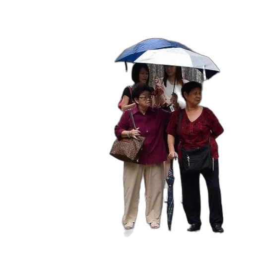umbrella, staff, jacket, hat, 3d render, photorealistic, rain, group transparent PNG cut-out