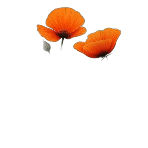 flower, hat, weapon, crown, photorealistic, 3d render, concept art, pixel art transparent PNG cut-out