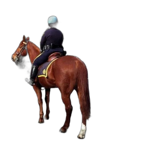 animal, hat, jacket, staff, concept art, 3d render, photorealistic, pixel art transparent PNG cut-out