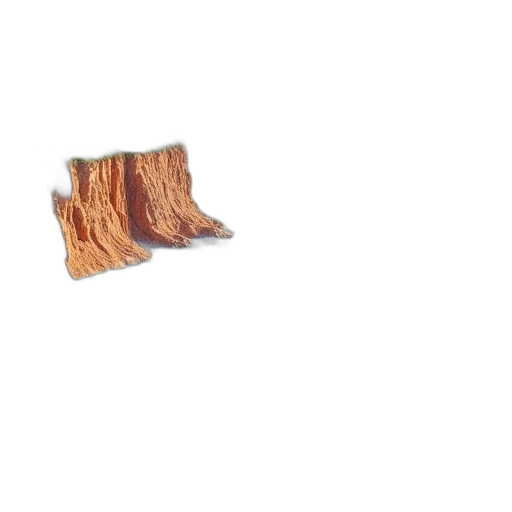 shoes, food, hair, tree transparent PNG cut-out