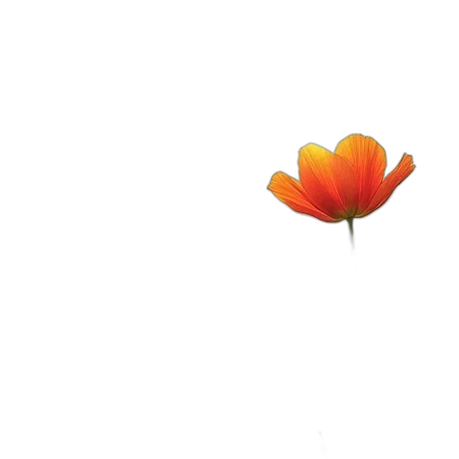 flower, crown, weapon, hat transparent PNG cut-out