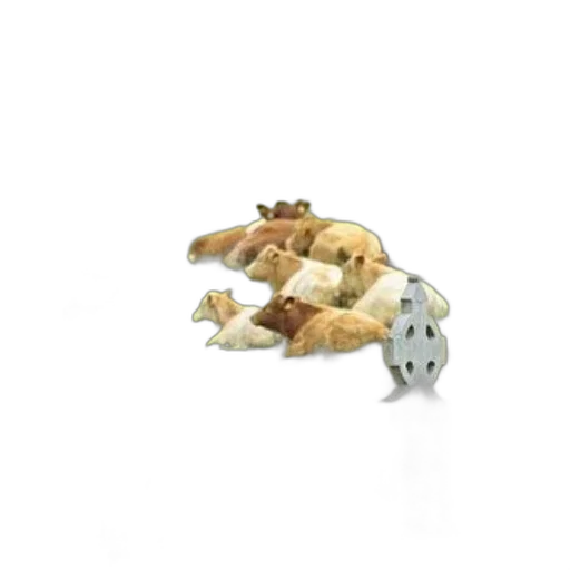 jewelry, food, animal, furniture, 3d render, concept art, photorealistic, fire transparent PNG cut-out
