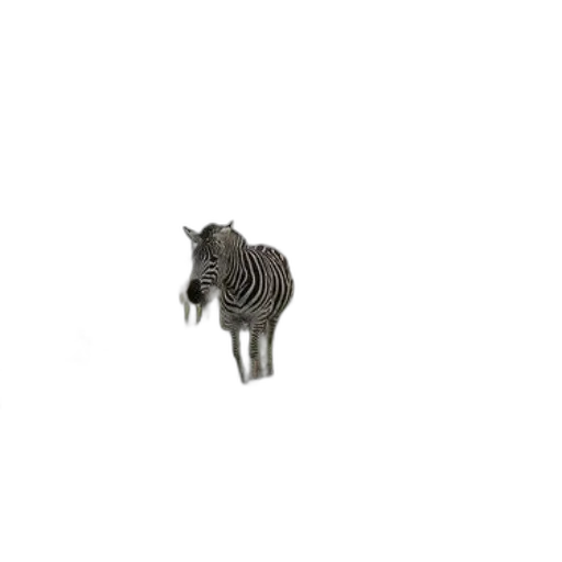 animal, creature, furniture, robot transparent PNG cut-out