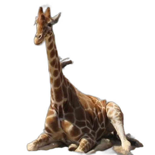 animal, creature, staff, weapon, 3d render, concept art, photorealistic, pixel art transparent PNG cut-out
