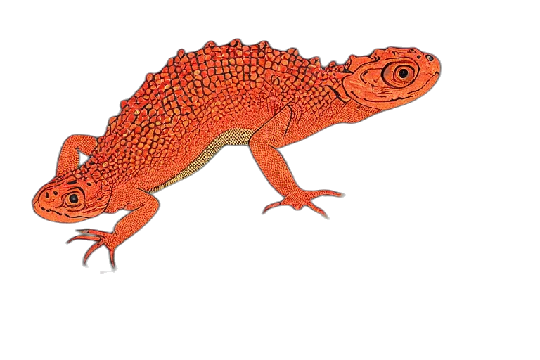 dragon, animal, creature, staff transparent PNG cut-out