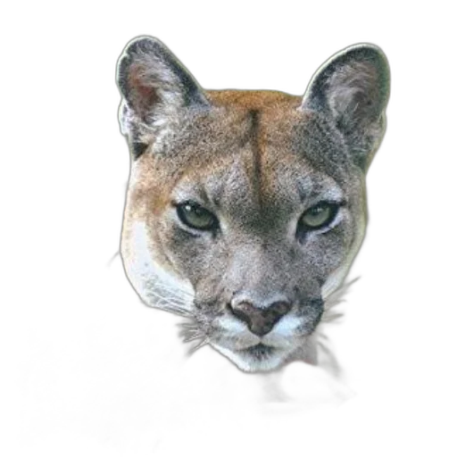 animal, crown, mask, face, photorealistic, concept art, 3d render, watercolor transparent PNG cut-out