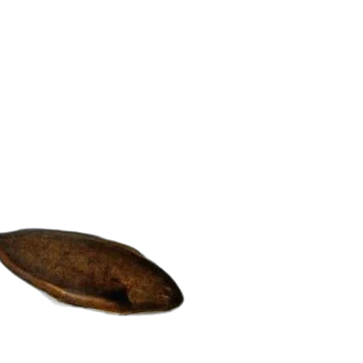 shoes, hat, hair, food, 3d render, photorealistic, concept art, underwater transparent PNG cut-out