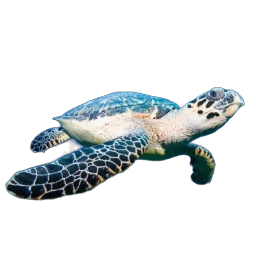 animal, creature, 3d render, photorealistic, concept art, pixel art, book, cover transparent PNG cut-out