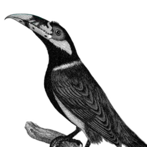 animal, staff, creature, jewelry, photorealistic, concept art, pencil sketch, 3d render transparent PNG cut-out