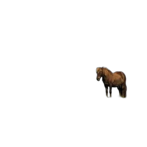 animal, creature, furniture, hair, pixel art, 3d render, concept art, photorealistic transparent PNG cut-out