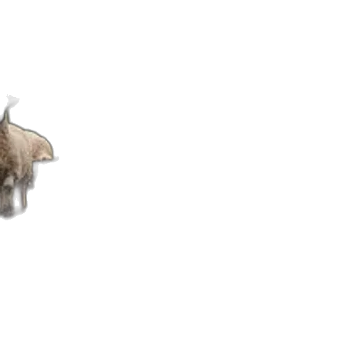 animal, dragon, creature, hair, photorealistic, concept art, 3d render, pixel art transparent PNG cut-out