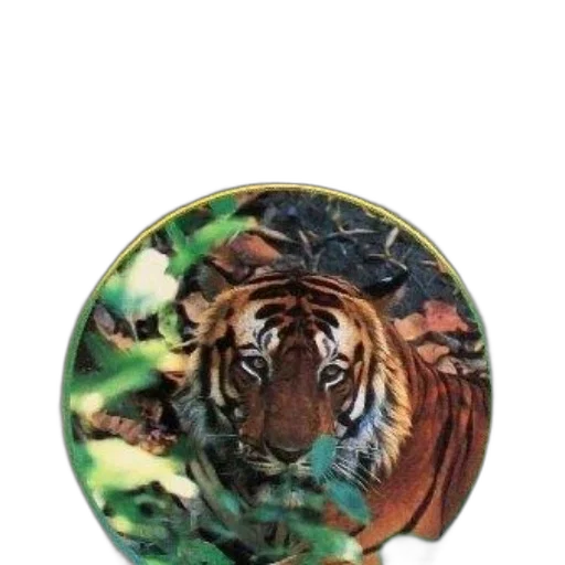 jewelry, animal, photorealistic, fantasy art, oil painting, 3d render, book, cover transparent PNG cut-out