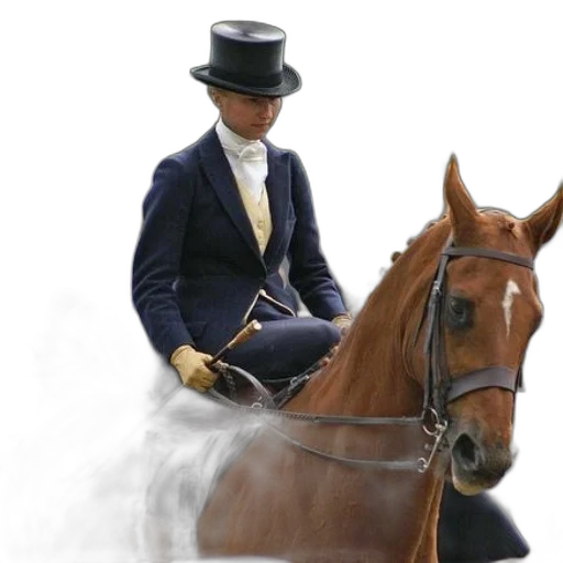 hat, animal, staff, photorealistic, woman, top, rides, brown transparent PNG cut-out