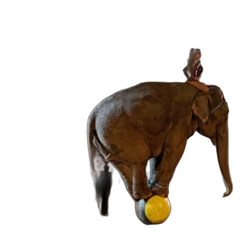 animal, staff, hat, creature, 3d render, photorealistic, concept art, woman transparent PNG cut-out