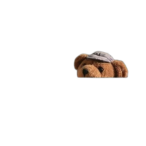 hat, jacket, food, animal, 3d render, photorealistic, teddy, bear transparent PNG cut-out