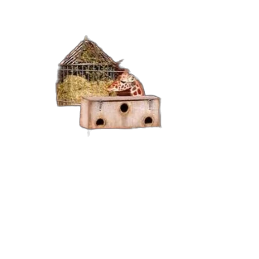 face, food, building, animal, 3d render, photorealistic, pixel art, concept art transparent PNG cut-out