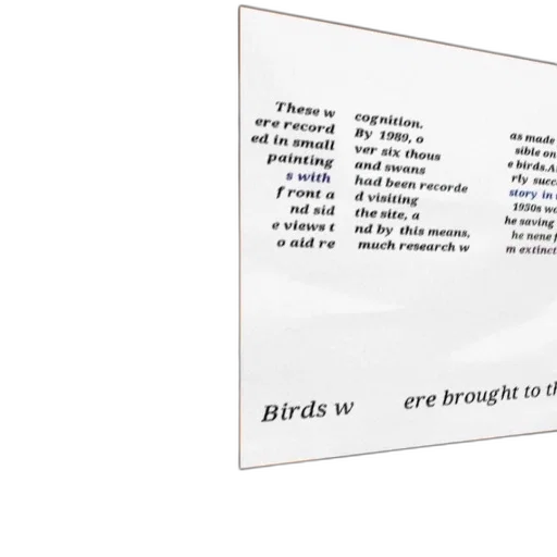 jewelry, poster, text, about, birds, including, these, ere transparent PNG cut-out