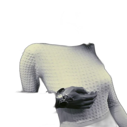 dress, mask, animal, jacket, 3d render, photorealistic, vaporwave, concept art transparent PNG cut-out