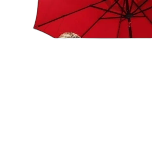 umbrella, dress, hat, jacket transparent PNG cut-out