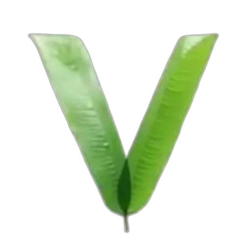 staff, weapon, food, hair, 3d render, photorealistic, green, letter transparent PNG cut-out