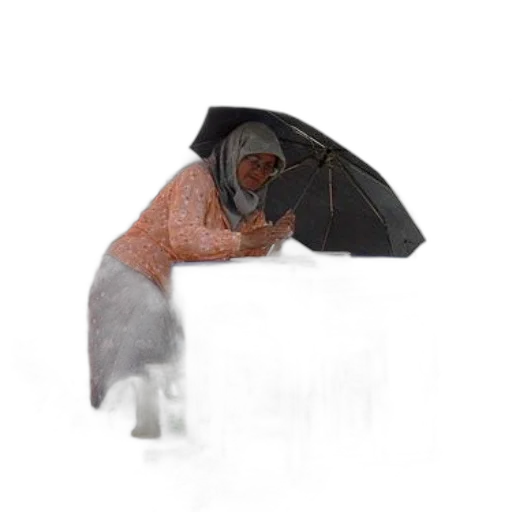 umbrella, hat, jacket, staff, photorealistic, concept art, 3d render, oil painting transparent PNG cut-out