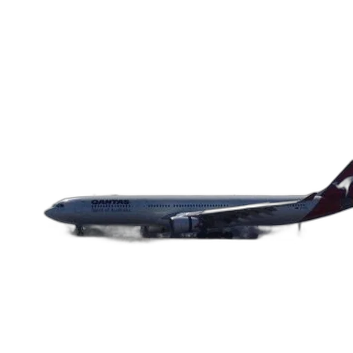 weapon, animal, staff, 3d render, photorealistic, concept art, qantas, airplane transparent PNG cut-out