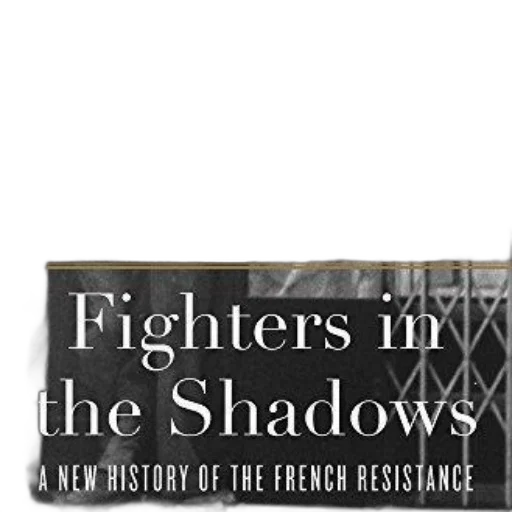 fighters, shadows, new, history, french, resistance, book, cover transparent PNG cut-out