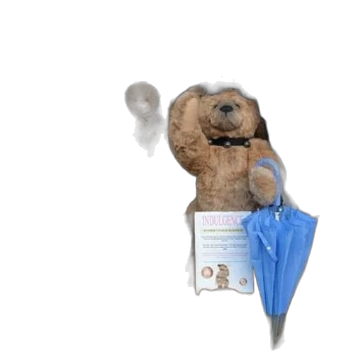 staff, charming, storefront, display, features, array, teddy, bears transparent PNG cut-out