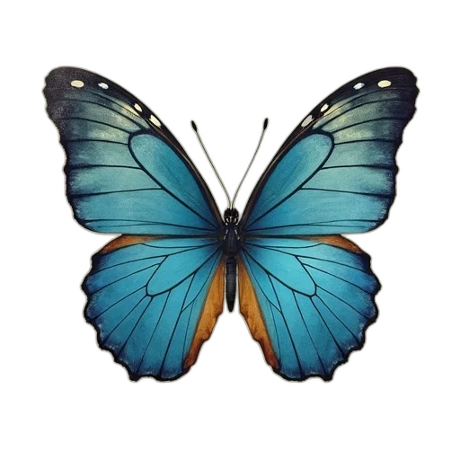 animal, jewelry, crown, creature transparent PNG cut-out