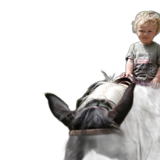 animal, creature, photorealistic, concept art, 3d render, young, child, rides transparent PNG cut-out