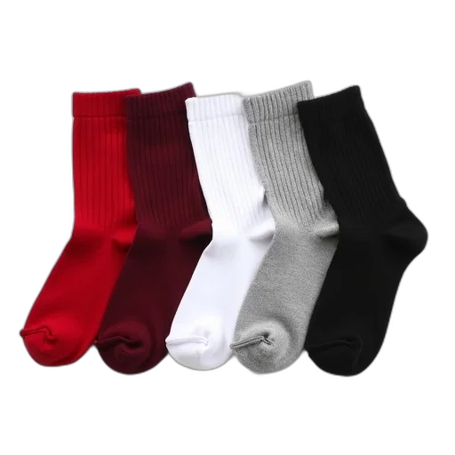 monochrome, set, five, pairs, socks, neatly, arranged, white transparent PNG cut-out