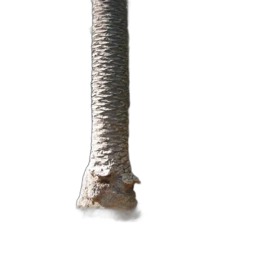 staff, sword, tree, weapon, 3d render, concept art, photorealistic, fantasy art transparent PNG cut-out