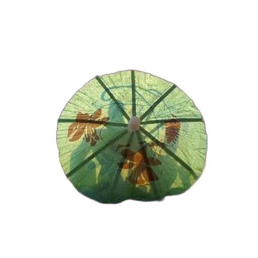 umbrella, flower, crown, hat, 3d render, photorealistic, green, earth tones transparent PNG cut-out