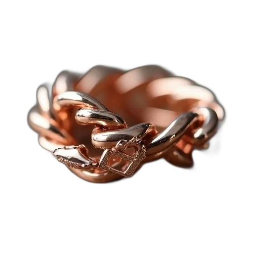 jewelry, crown, hair, dragon, 3d render, photorealistic, concept art, rose transparent PNG cut-out