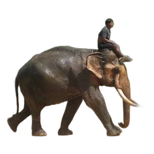animal, creature, staff, concept art, 3d render, photorealistic, oil painting, forest transparent PNG cut-out